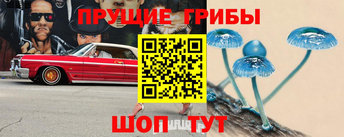 Галлюциногенные грибы Psilocybe  Вход с VPN  Вологда 